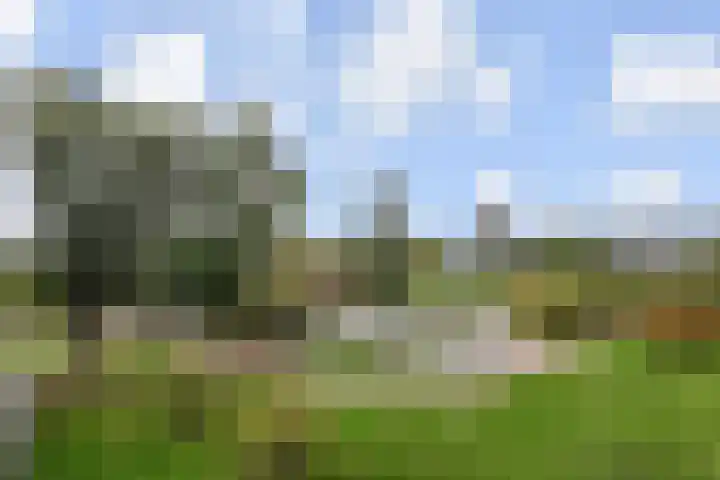 Dunantstraat 180 Zoetermeer thumbnail 20