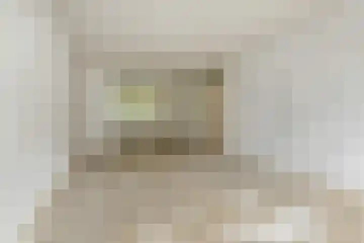 Dunantstraat 180 Zoetermeer thumbnail 24