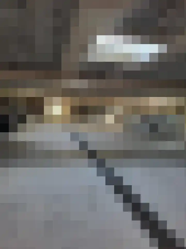 Dunantstraat 180 Zoetermeer thumbnail 37