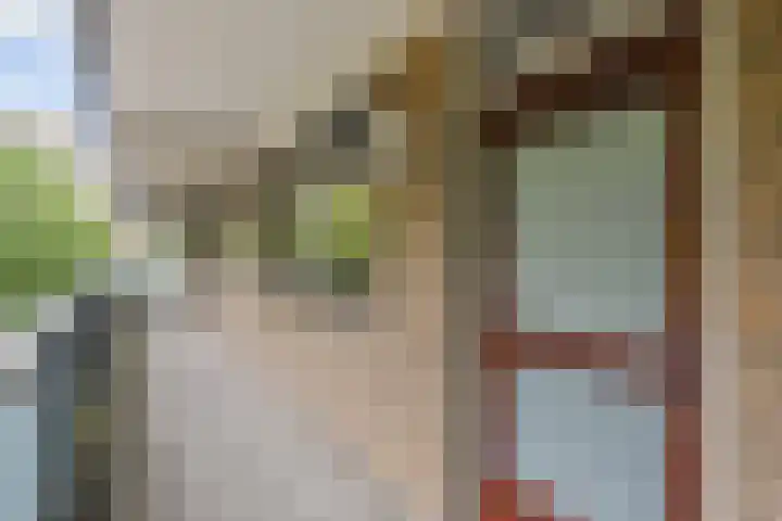 Dunantstraat 180 Zoetermeer thumbnail 7