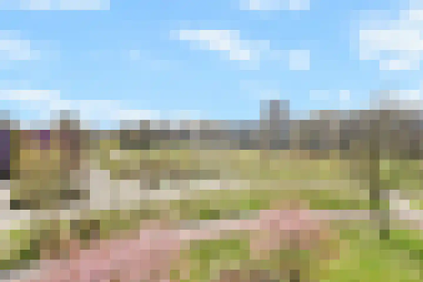 Dunantstraat 190 Zoetermeer thumbnail 18