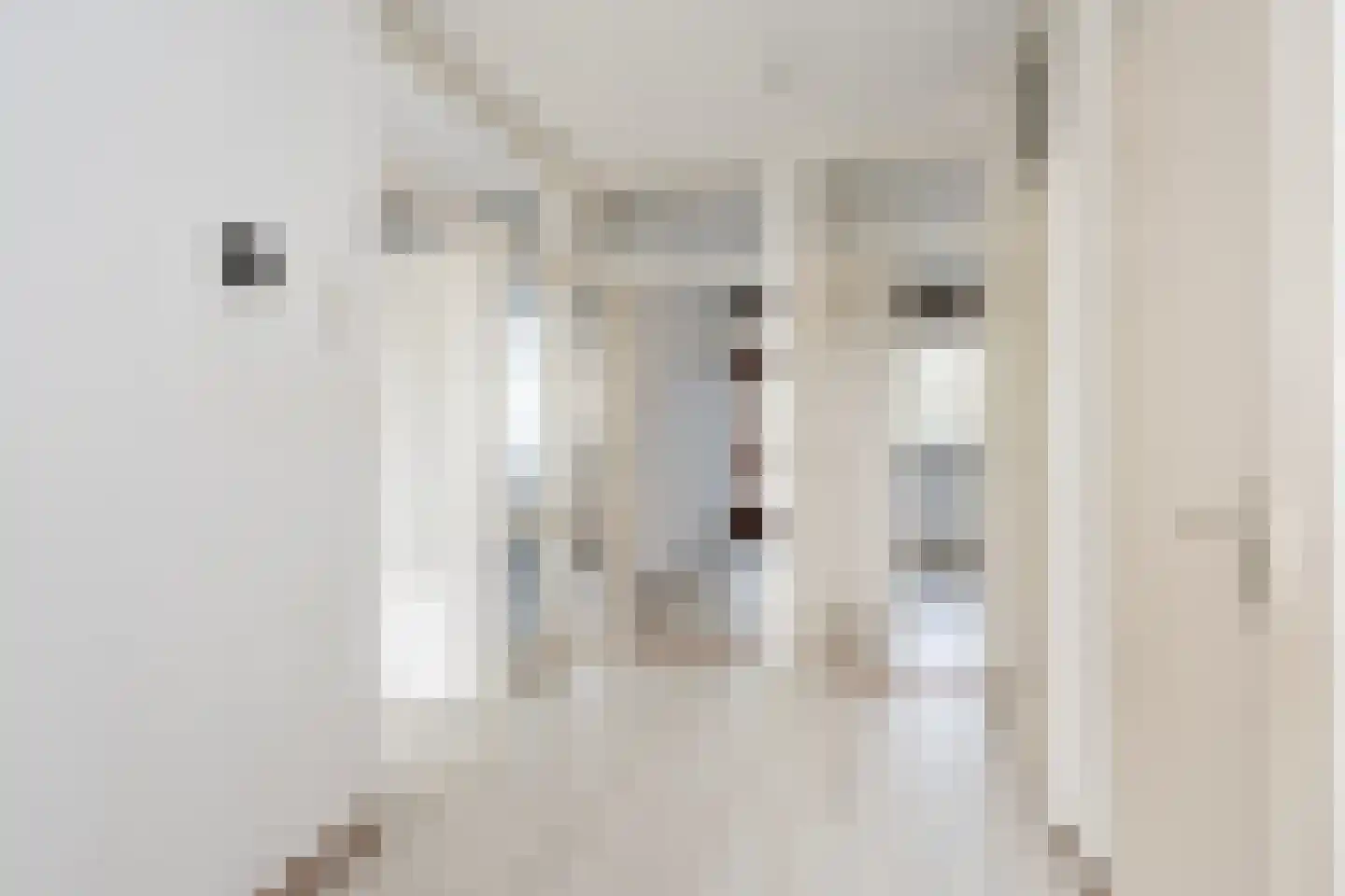 Dunantstraat 190 Zoetermeer thumbnail 23