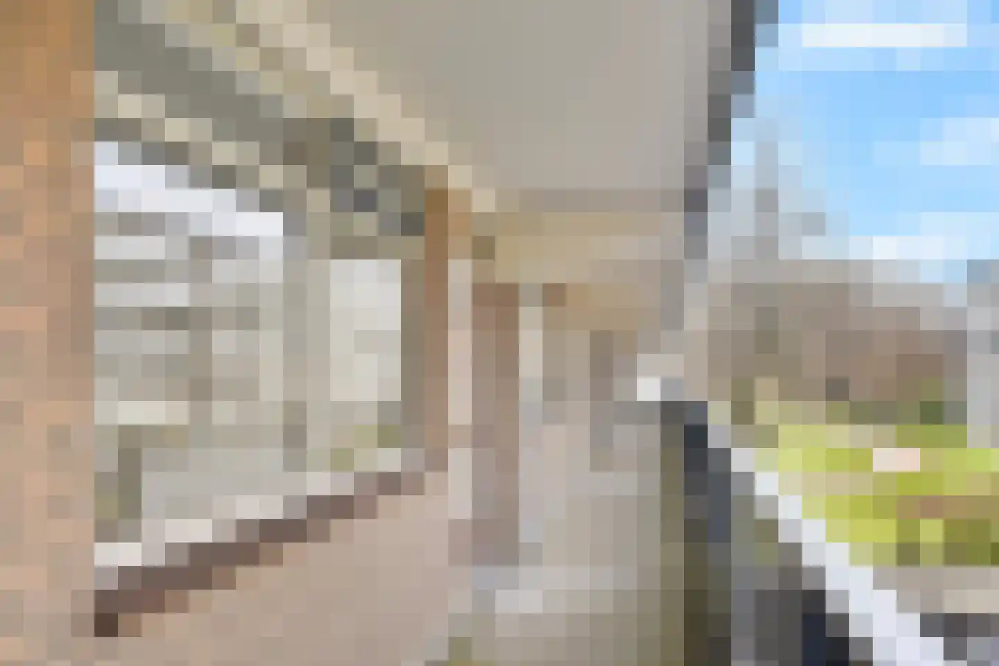 Dunantstraat 190 Zoetermeer thumbnail 9