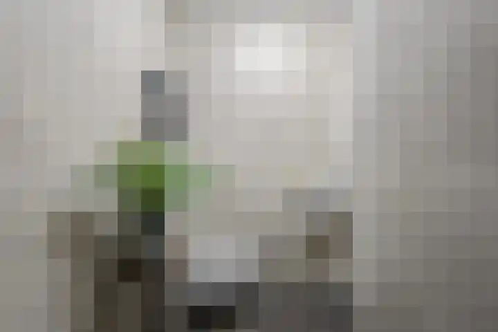 Dunantstraat 2 Roosendaal thumbnail 17