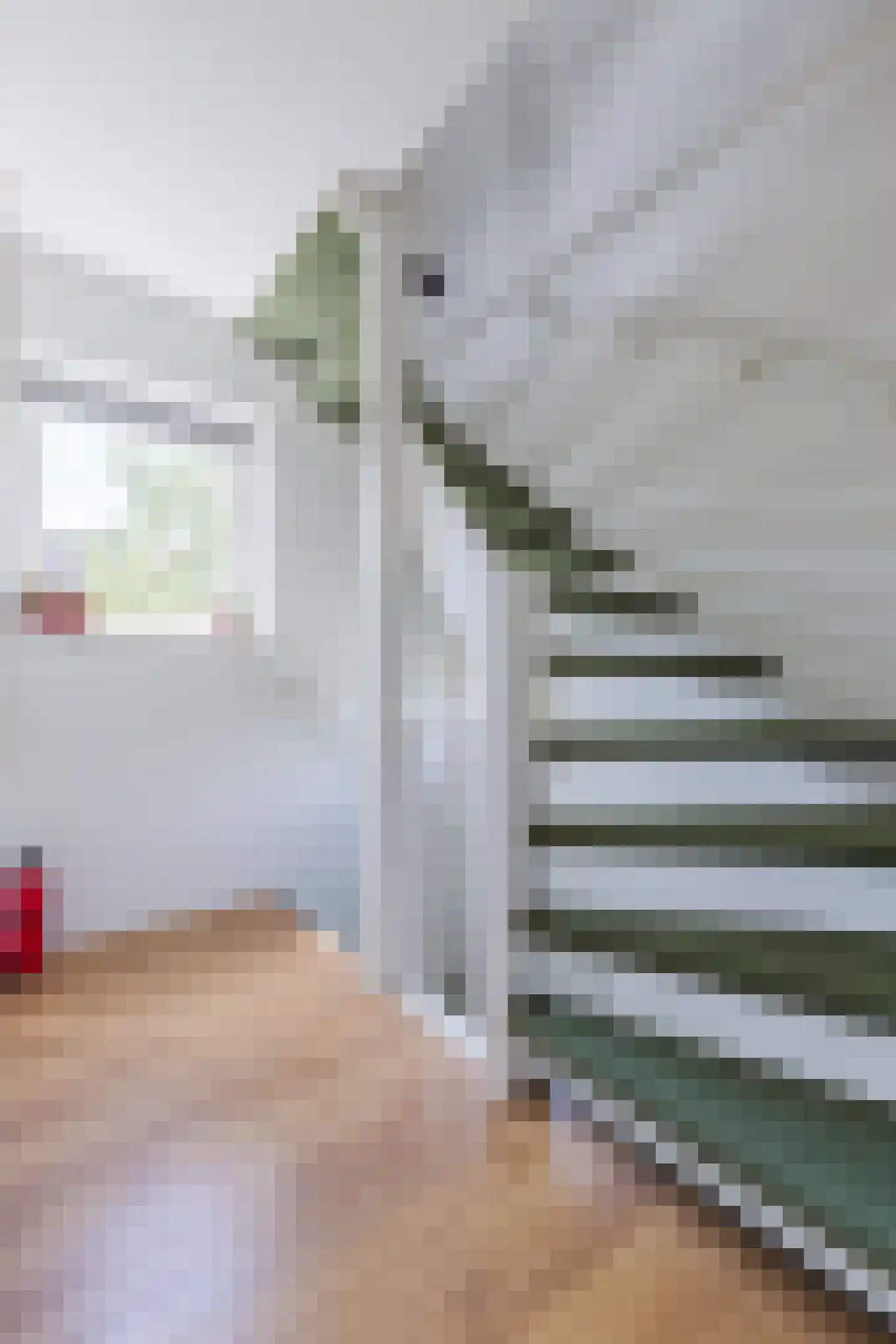 Dunantstraat 20 Hoofddorp thumbnail 19