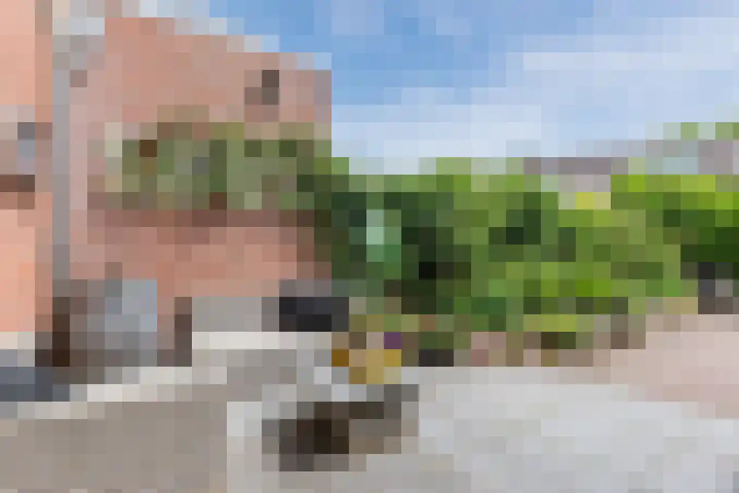 Dunantstraat 20 Hoofddorp thumbnail 33
