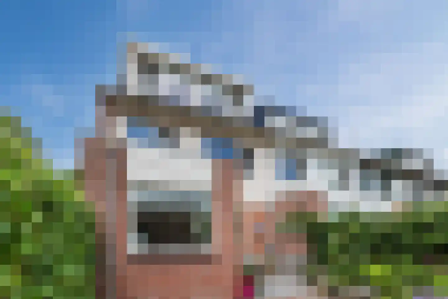 Dunantstraat 20 Hoofddorp thumbnail 35