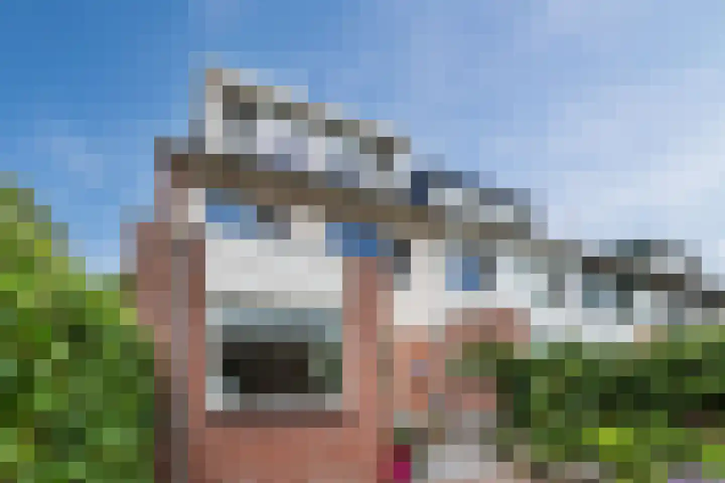 Dunantstraat 20 Hoofddorp thumbnail 35