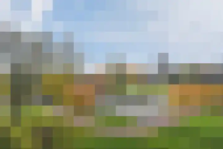 Dunantstraat 200 Zoetermeer thumbnail 15