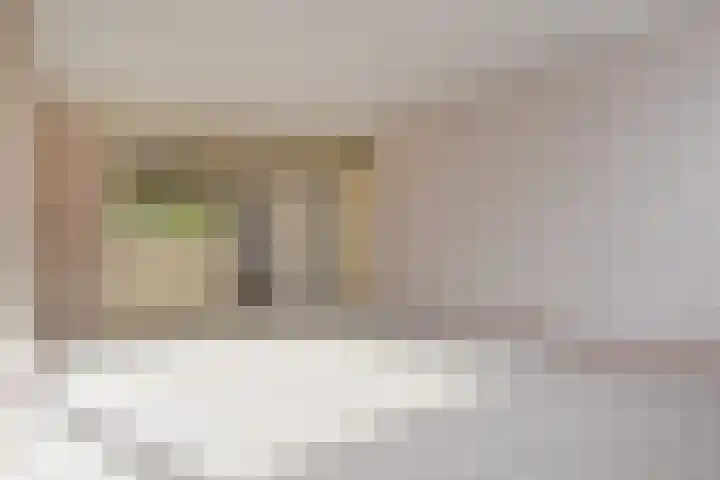 Dunantstraat 200 Zoetermeer thumbnail 17