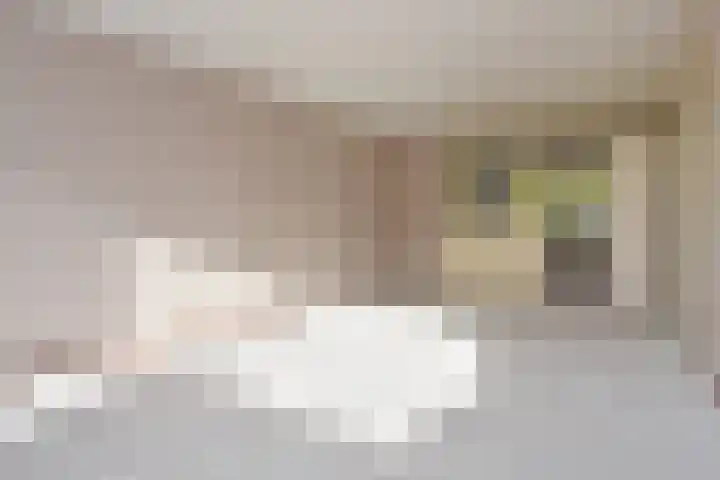 Dunantstraat 200 Zoetermeer thumbnail 18