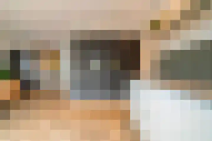 Dunantstraat 200 Zoetermeer thumbnail 30