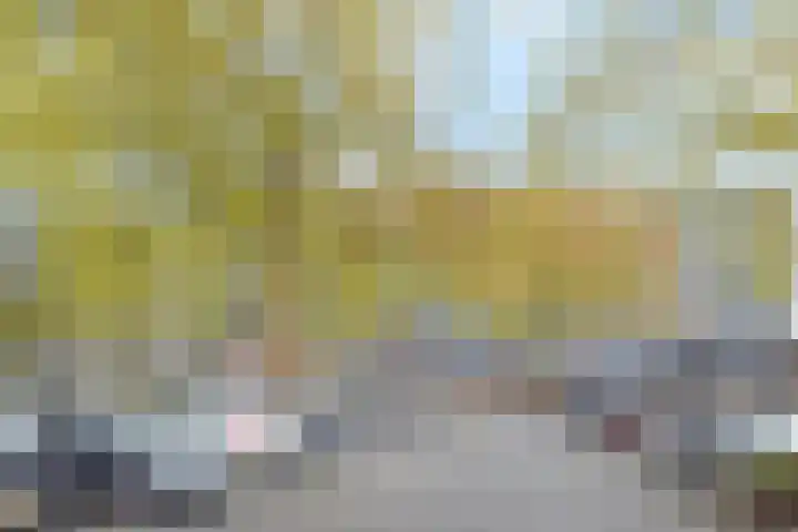 Dunantstraat 200 Zoetermeer thumbnail 34