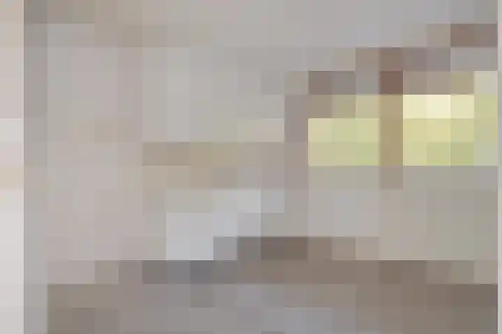 Dunantstraat 200 Zoetermeer thumbnail 9
