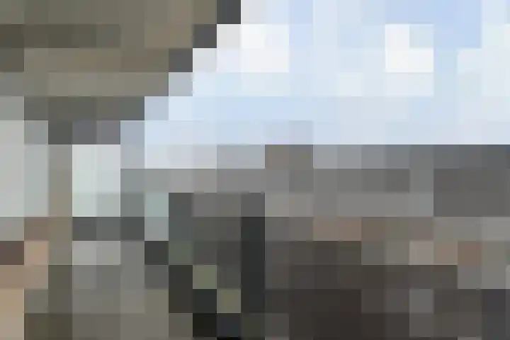 Dunantstraat 232 Zoetermeer thumbnail 16