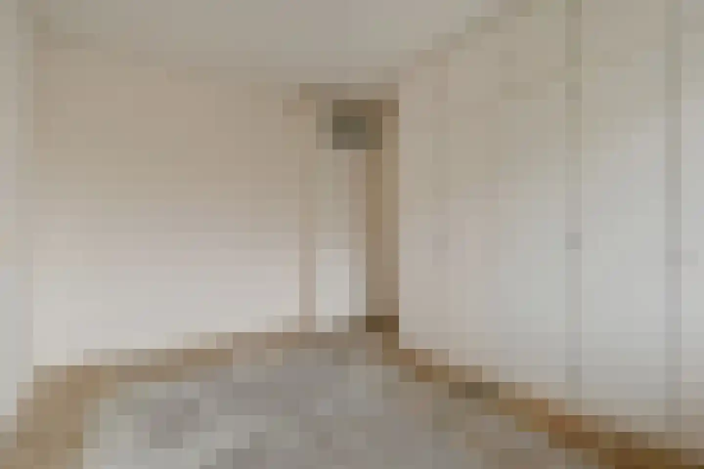 Dunantstraat 232 Zoetermeer thumbnail 23