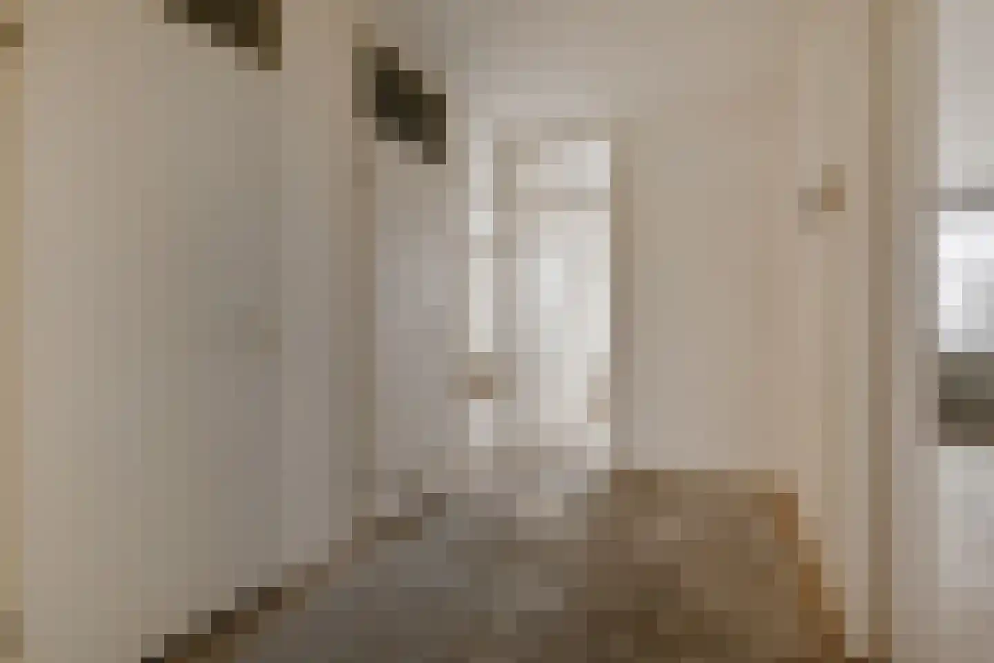 Dunantstraat 232 Zoetermeer thumbnail 24