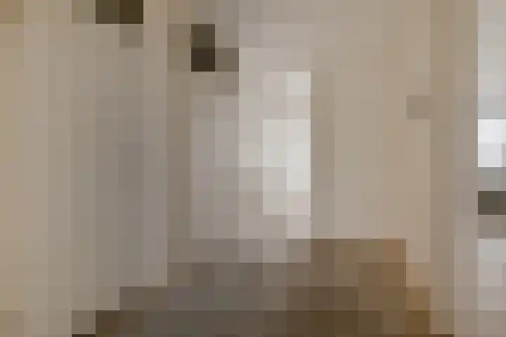 Dunantstraat 232 Zoetermeer thumbnail 24