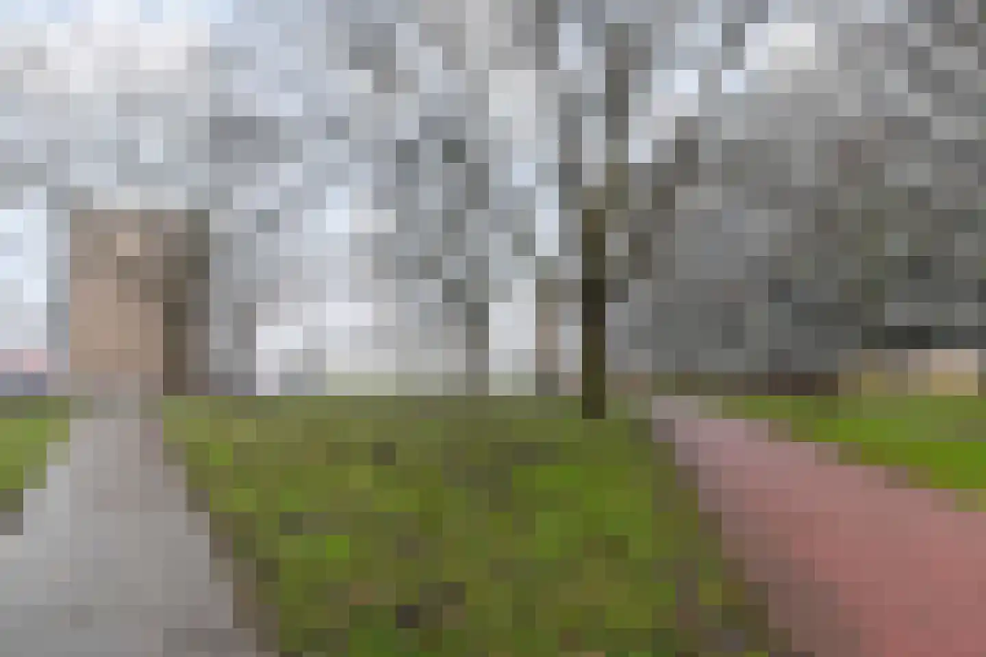 Dunantstraat 232 Zoetermeer thumbnail 32