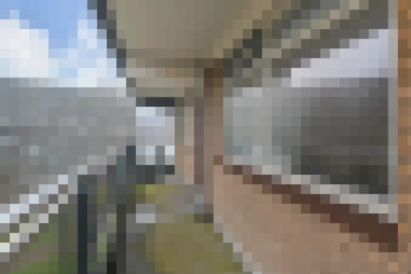Dunantstraat 232 Zoetermeer thumbnail 8