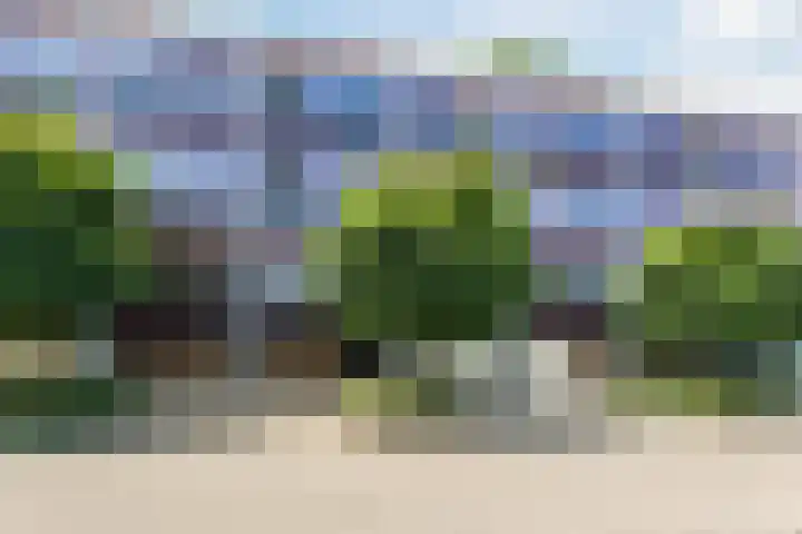 Dunantstraat 24 C Dongen thumbnail 5