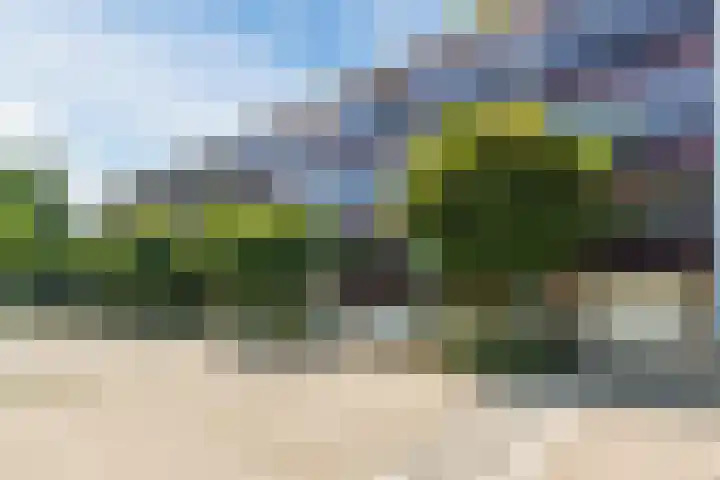 Dunantstraat 24 C Dongen thumbnail 6