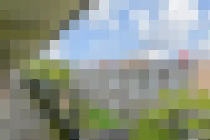 Dunantstraat 242 Zoetermeer thumbnail 11