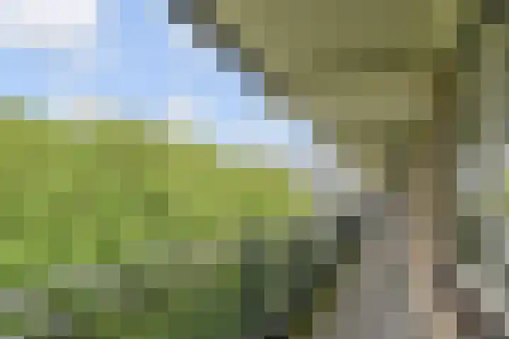 Dunantstraat 242 Zoetermeer thumbnail 13