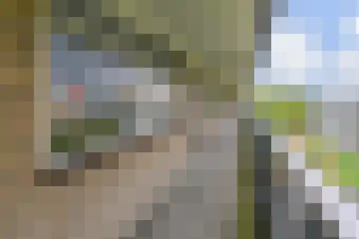 Dunantstraat 242 Zoetermeer thumbnail 14