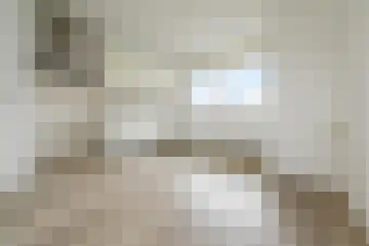 Dunantstraat 242 Zoetermeer thumbnail 18