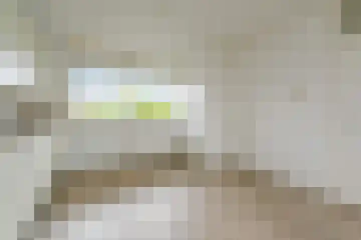 Dunantstraat 242 Zoetermeer thumbnail 19