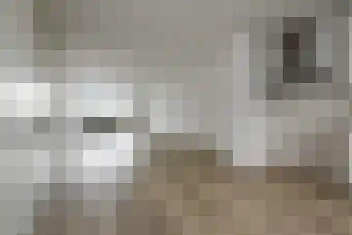 Dunantstraat 242 Zoetermeer thumbnail 21