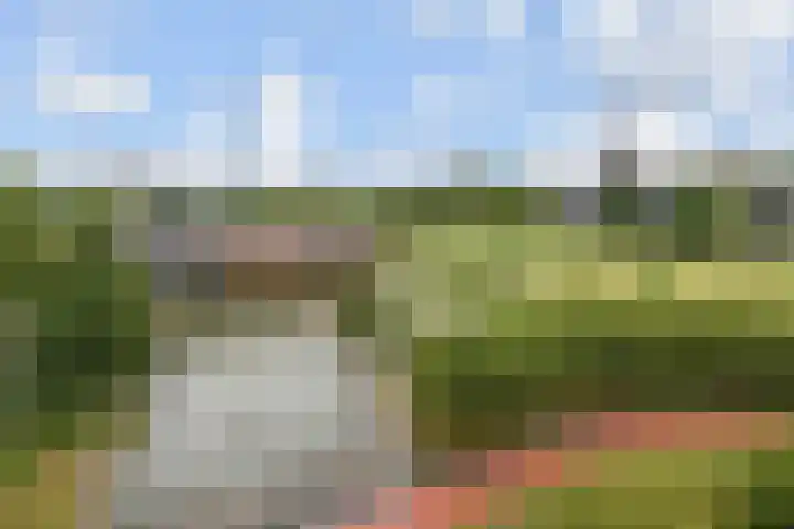 Dunantstraat 242 Zoetermeer thumbnail 25