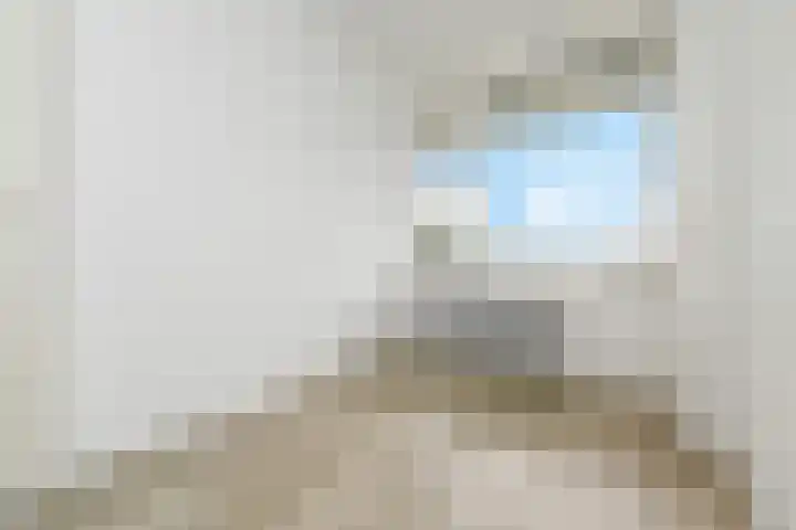 Dunantstraat 242 Zoetermeer thumbnail 37