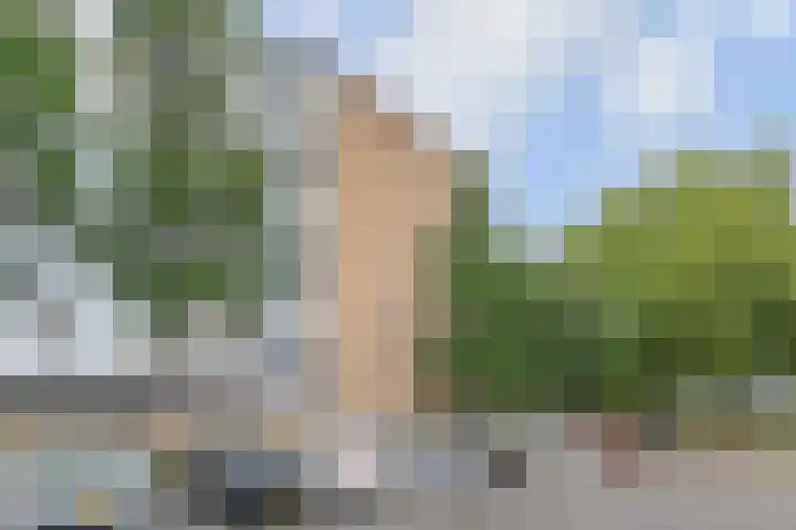 Dunantstraat 242 Zoetermeer thumbnail 44