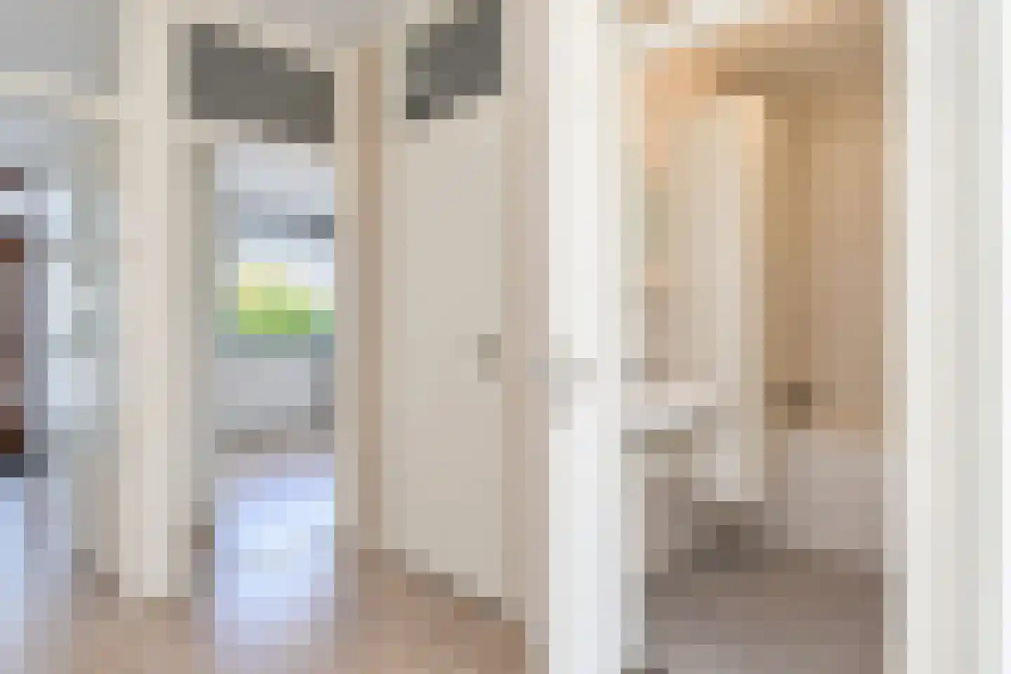 Dunantstraat 244 Zoetermeer thumbnail 24