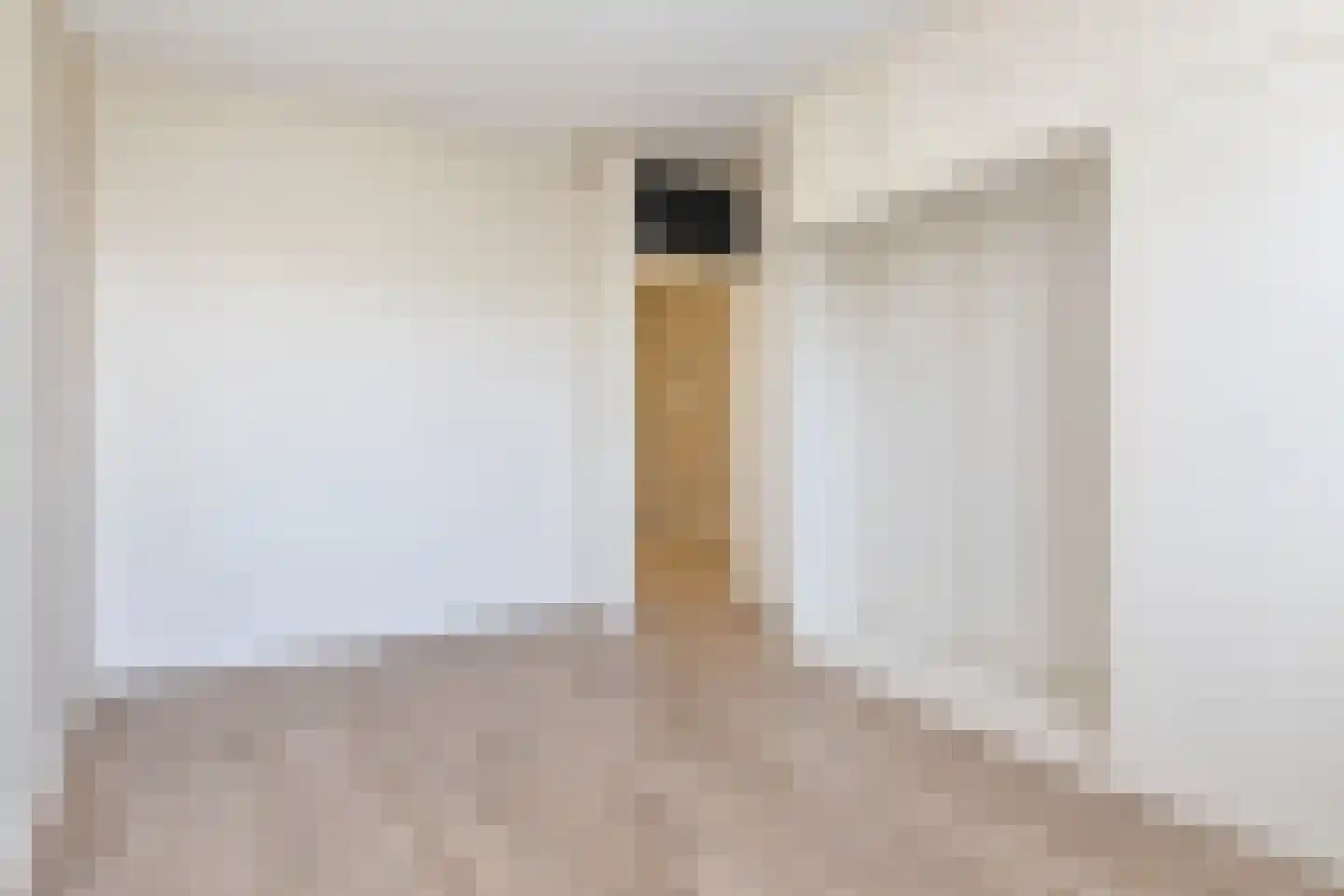 Dunantstraat 244 Zoetermeer thumbnail 26