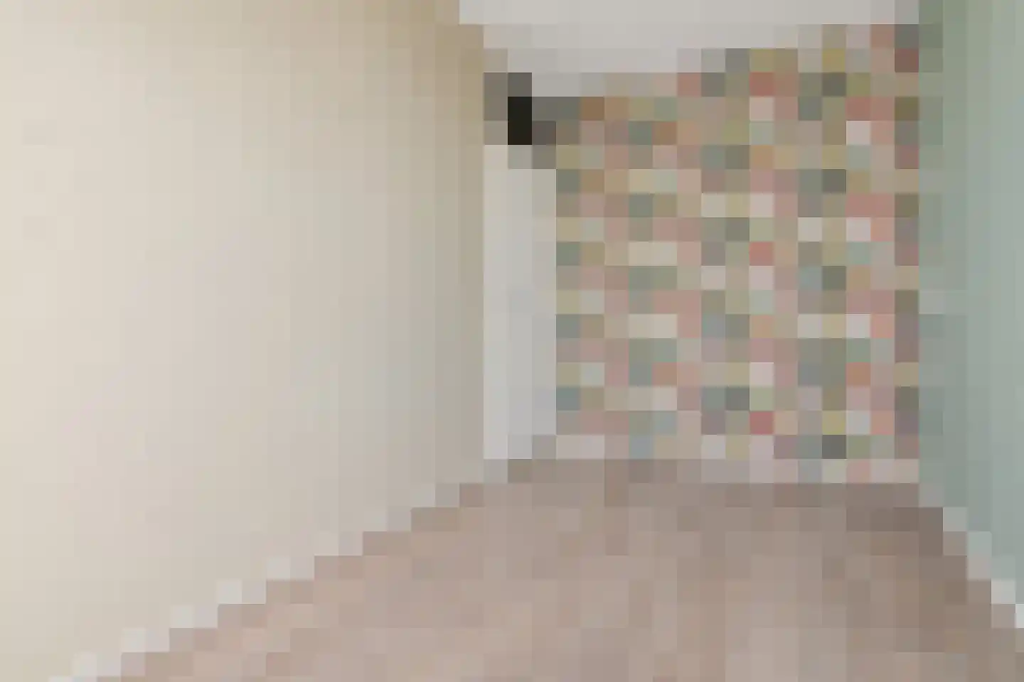 Dunantstraat 244 Zoetermeer thumbnail 31