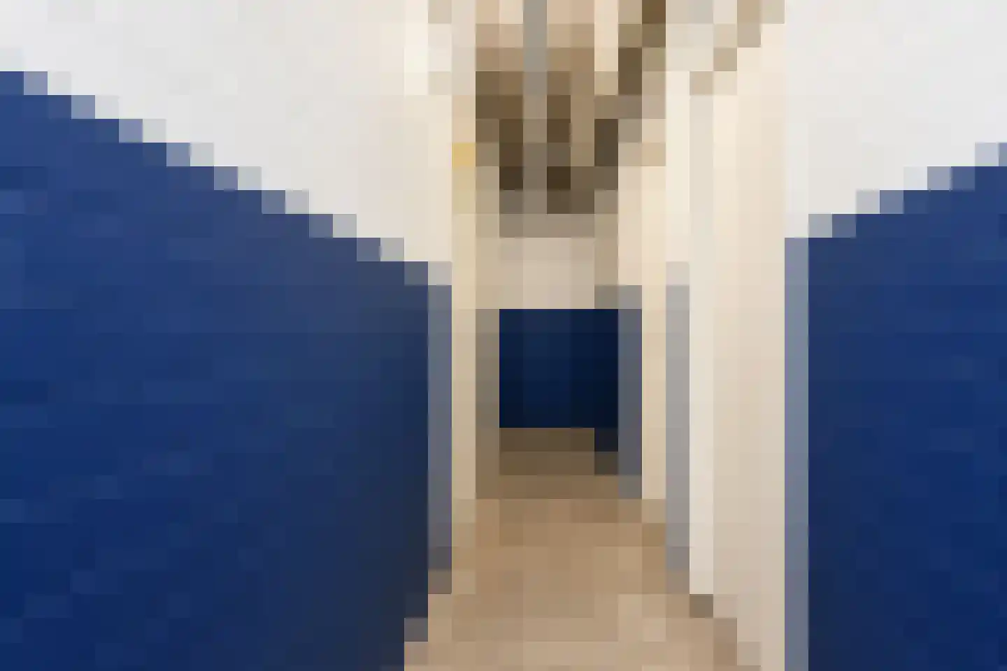 Dunantstraat 244 Zoetermeer thumbnail 37
