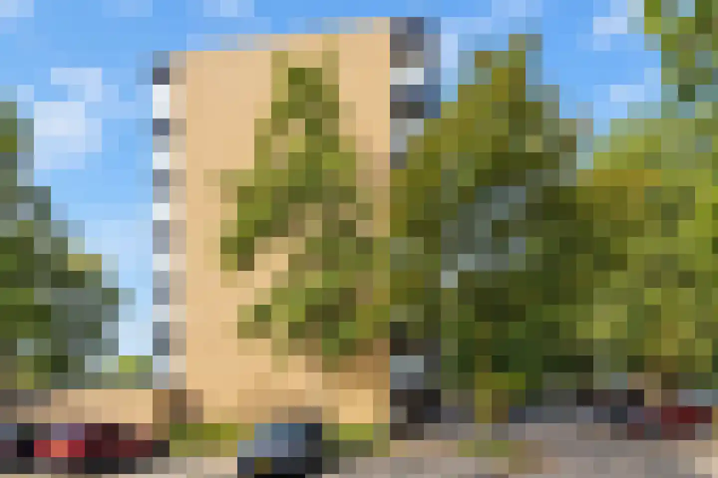 Dunantstraat 244 Zoetermeer thumbnail 39