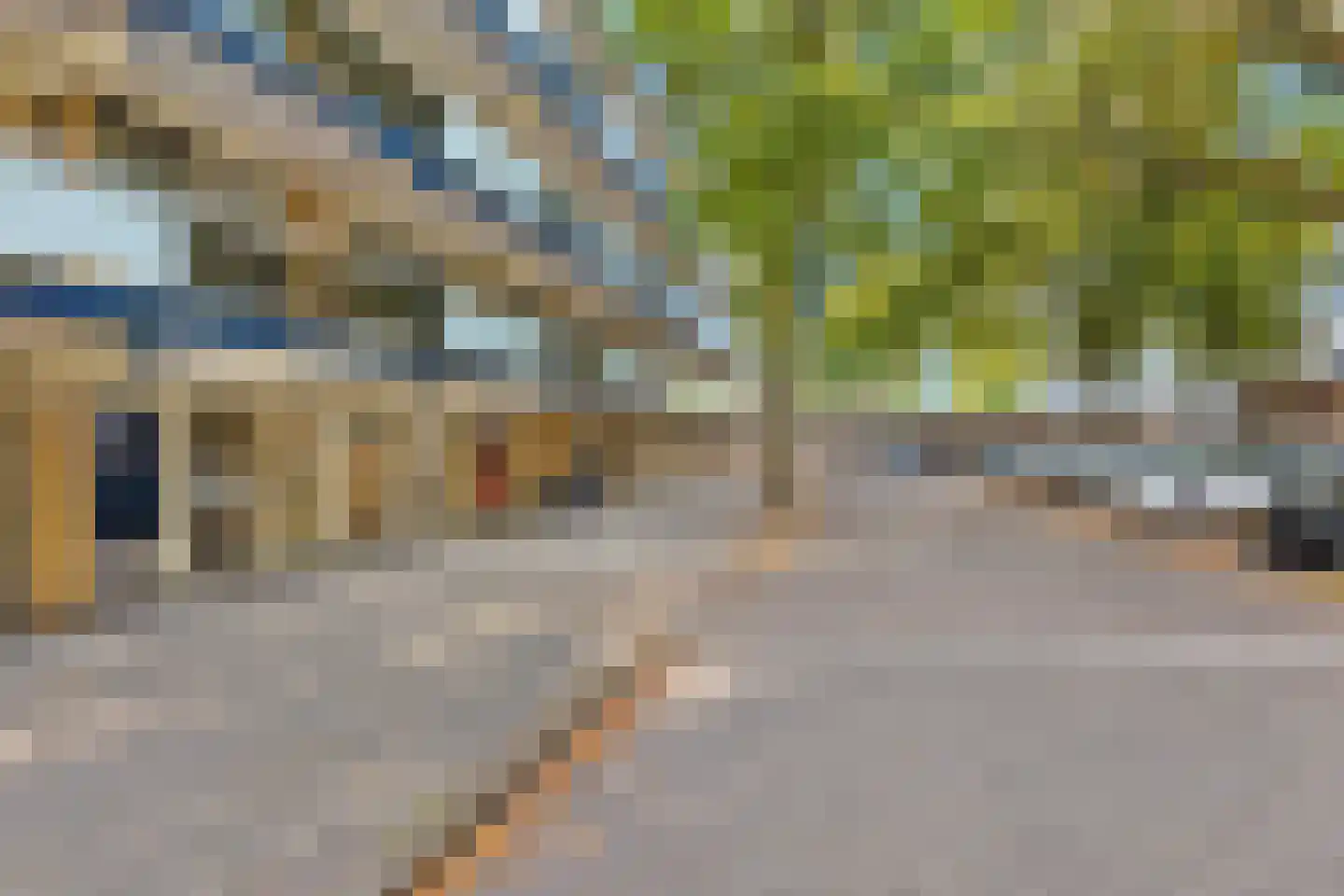 Dunantstraat 244 Zoetermeer thumbnail 6