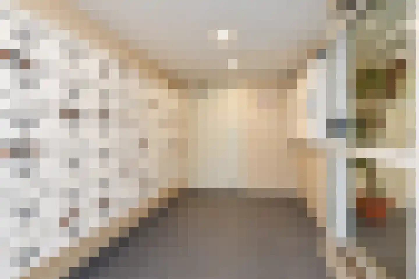 Dunantstraat 244 Zoetermeer thumbnail 7