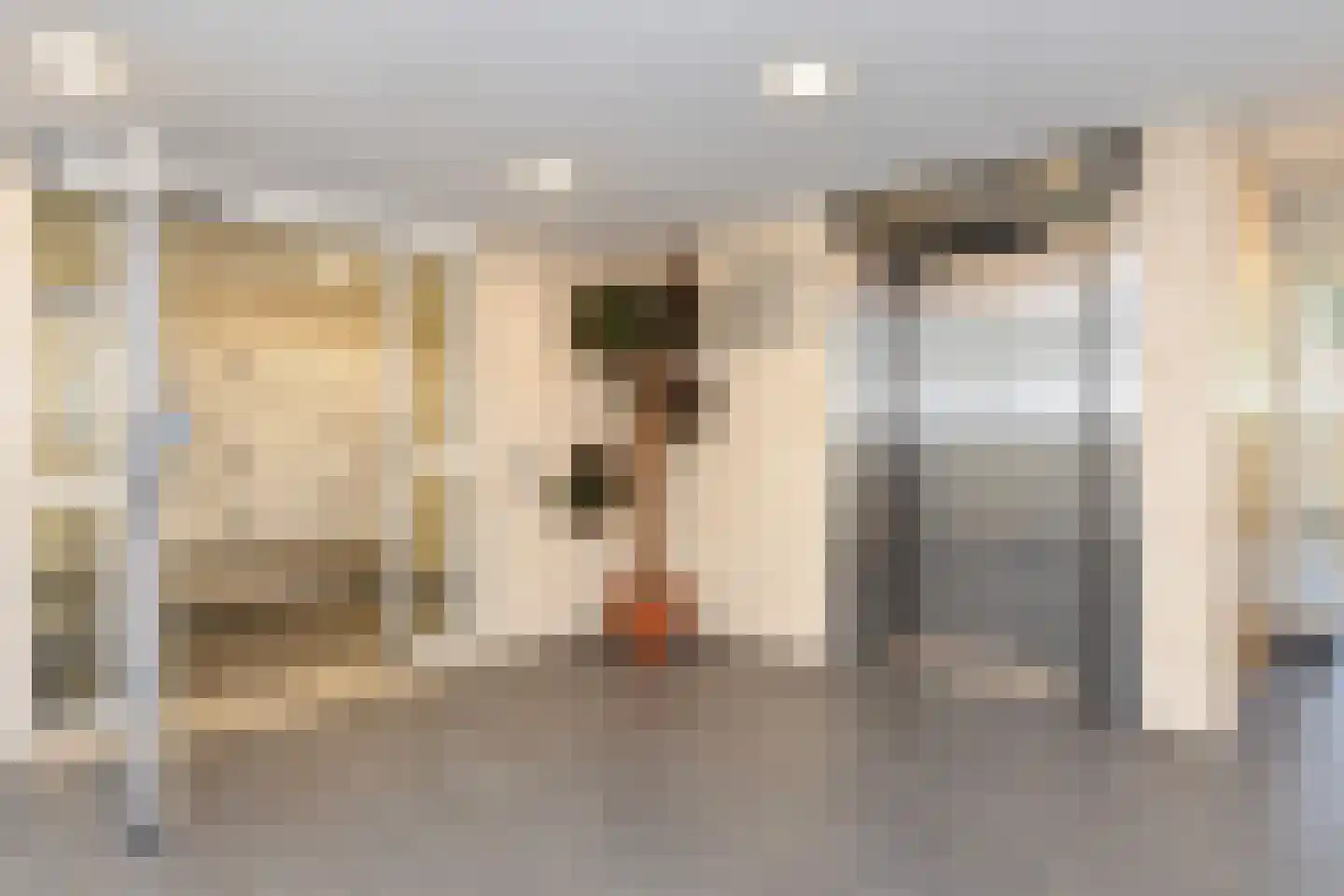 Dunantstraat 244 Zoetermeer thumbnail 8