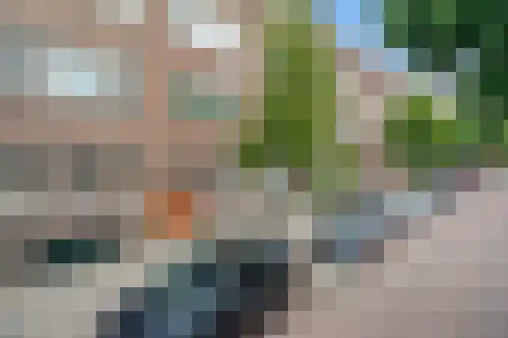 Dunantstraat 25 B Rotterdam thumbnail 46