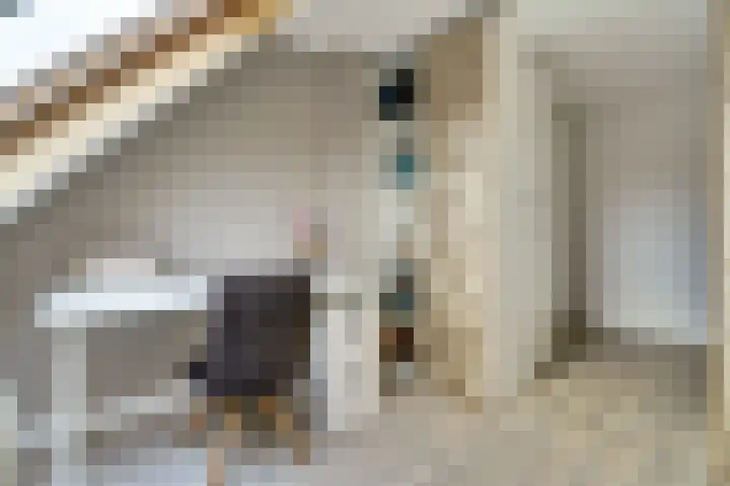Dunantstraat 28 Tilburg thumbnail 23