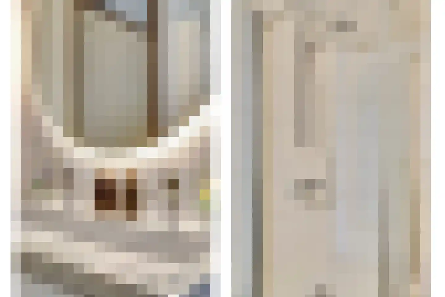 Dunantstraat 28 Tilburg thumbnail 28