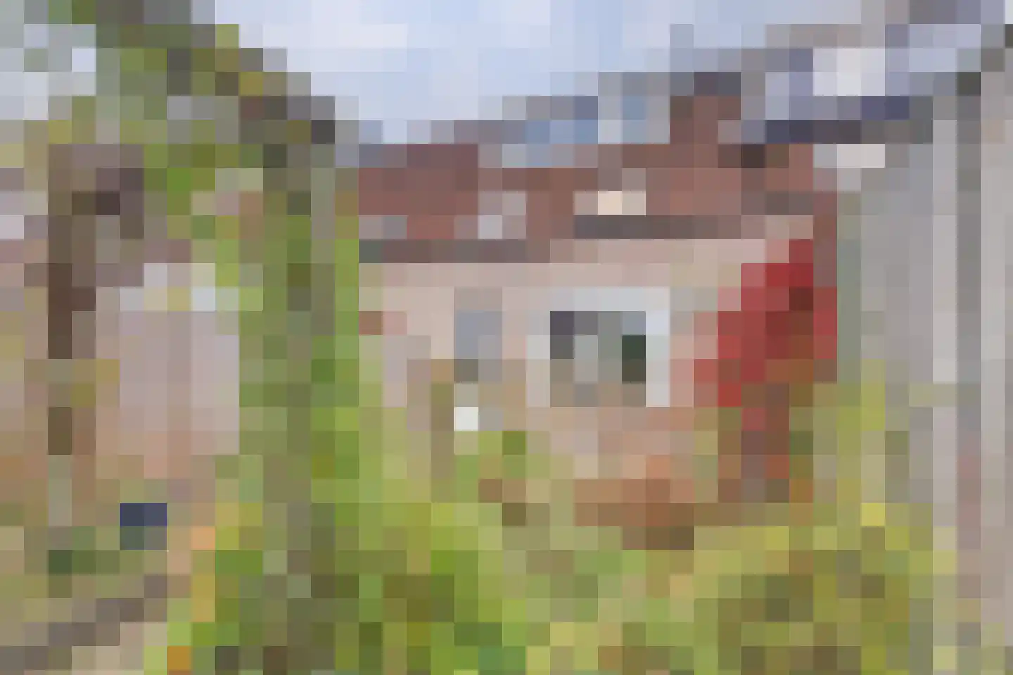Dunantstraat 28 Tilburg thumbnail 40
