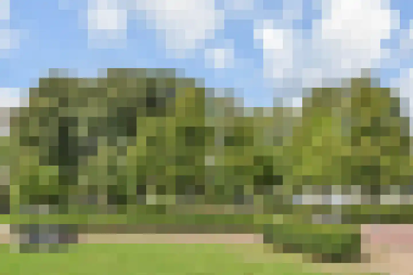 Dunantstraat 306 Zoetermeer thumbnail 40