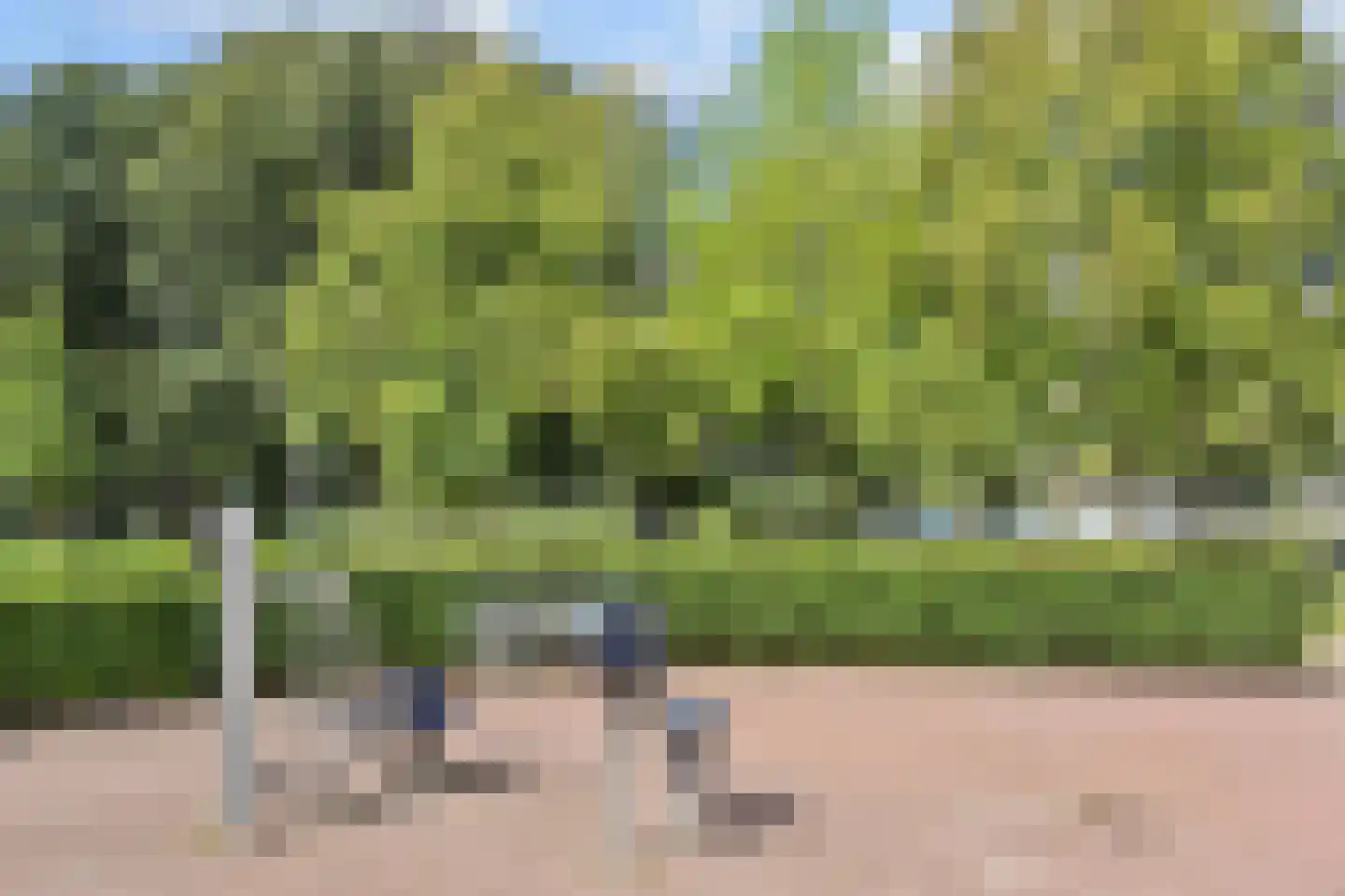 Dunantstraat 306 Zoetermeer thumbnail 41