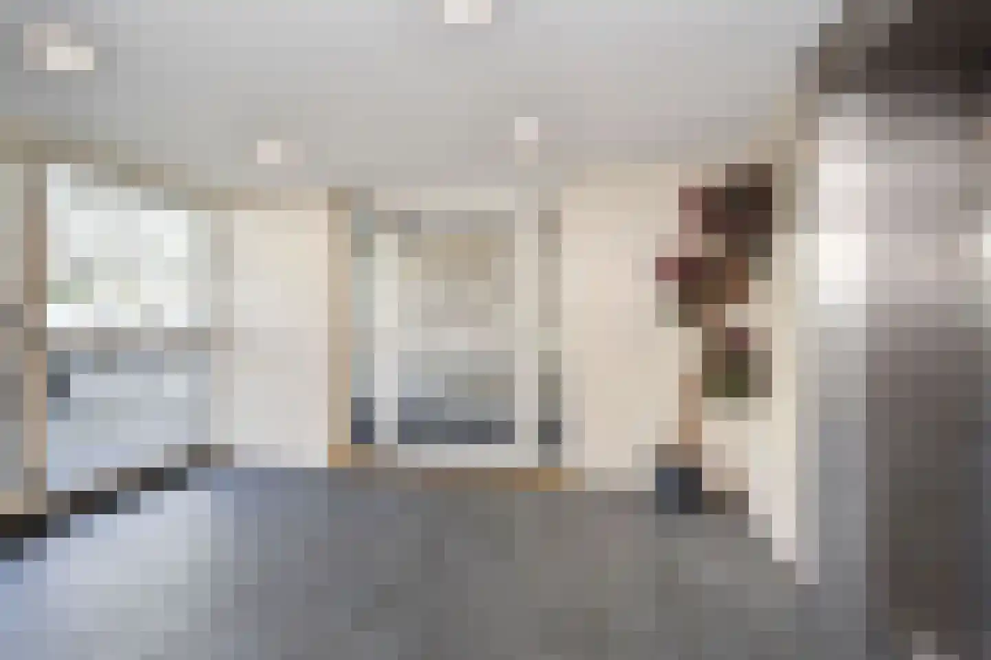 Dunantstraat 306 Zoetermeer thumbnail 7